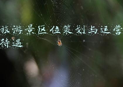 景区运营招聘(招聘啦！山东文旅景区投资集团有限公司高薪诚聘景区高级管理人才)