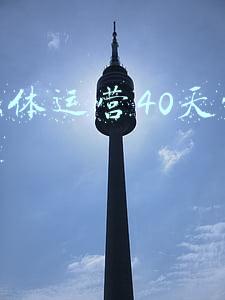 自媒体运营40天能赚多少