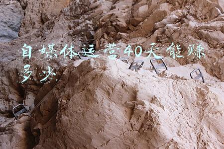 自媒体运营40天能赚多少