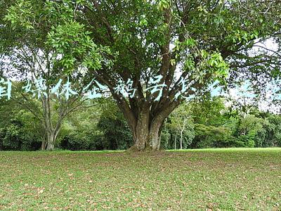 自媒体企鹅号怎么运营 自媒体企鹅号怎么运营