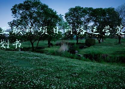 互联网项目网络运营策划书