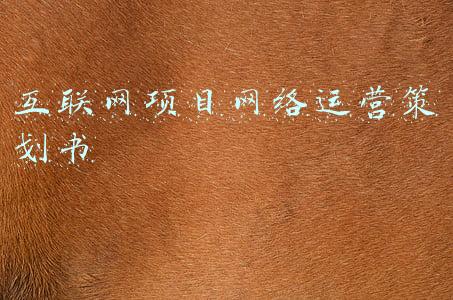 互联网 项目策划书(201互联网营销策划案（36份）-广告人干货库)