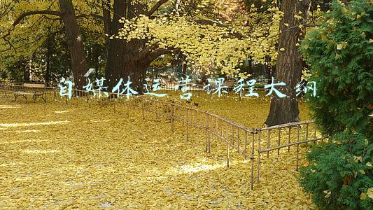 数字媒体技术课程大纲(黑龙江外国语学院召开课程大纲和单元教学设计审定会)