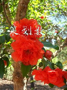 年货节策划数据化运营流程