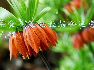 年货节策划案(年货节特卖会来啦，快来看看十足的“年味儿”)