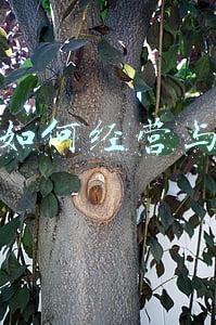 旅游民宿的经营管理制度-民宿经营管理制度