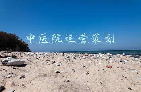 中医院运营策划