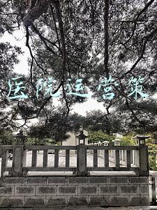 中医院运营模式(疫情、暴雨“考验”下，一家互联网中医院的运营之路)