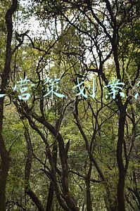 品牌运营策划案怎么写