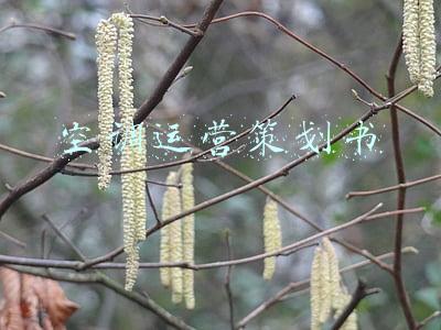 空调运营策划书