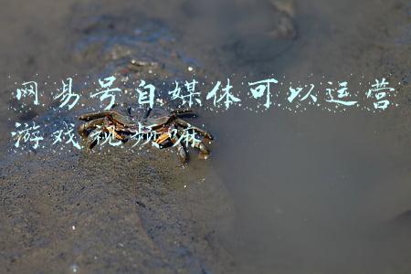 怎样注册网易号的自媒体平台(网易云音乐如何认证网易音乐人？网易云音乐加入网易音乐人教程分享)