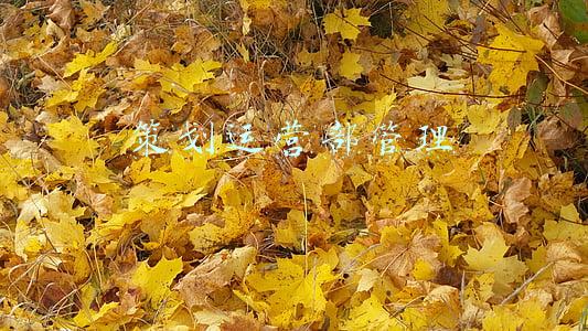 运营计划部(中核汇能落子岳麓区)