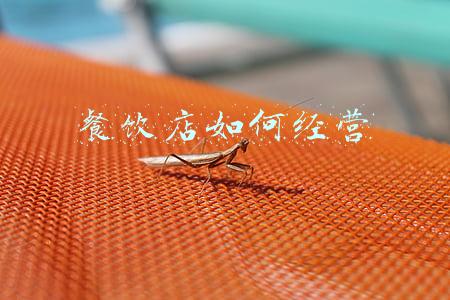 餐饮店经营方案(餐饮门店经营规划方案)