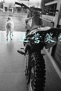 线上用户运营策划方案