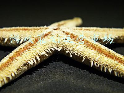 游戏策划行业前景(最新游戏产业潜力报告发布 完美世界展现多元竞争优势)