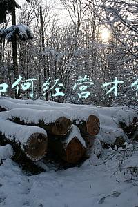 婚姻应该如何经营才会更好_婚姻怎样经营会越来越好