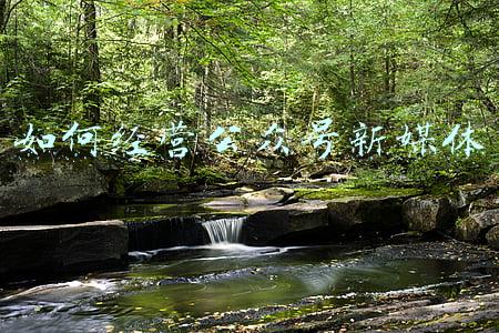 如何做公众号微信：如何做公众号