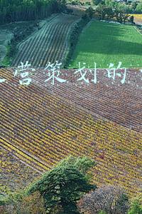 抖音的自我介绍制作(5个自我介绍的方法，让你在百人群中C位出道)