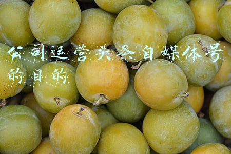 公司运营头条自媒体号的目的