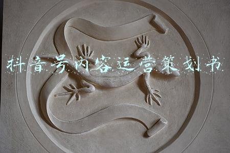 工程项目策划书内容(工程施工—项目策划书（收藏以备用）)