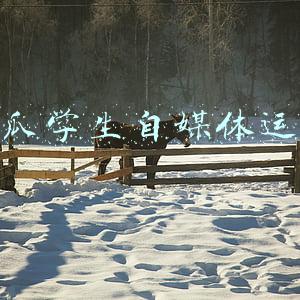 西瓜视频自媒体(做西瓜视频头条自媒体的10个雷区)