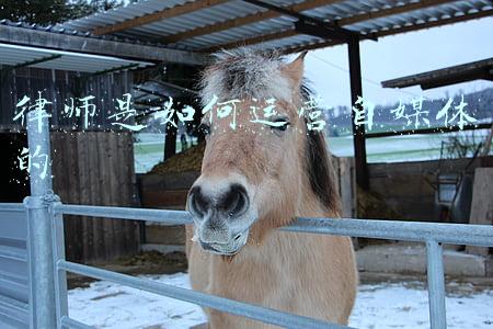 律师是如何运营自媒体的