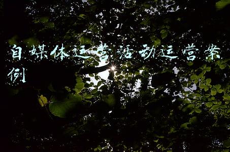 新媒体运营经典案例(三个案例为您阐述私域运营并非圈地自萌)