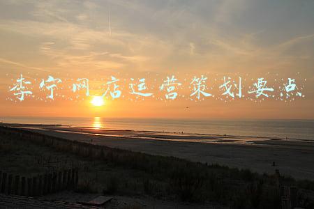 李宁网店运营策划要点