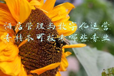酒店管理可以转什么专业(英国这5大院校无背景可转专业就读酒店管理硕士)