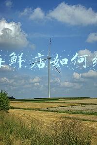 怎样开海鲜店;怎么开海鲜店