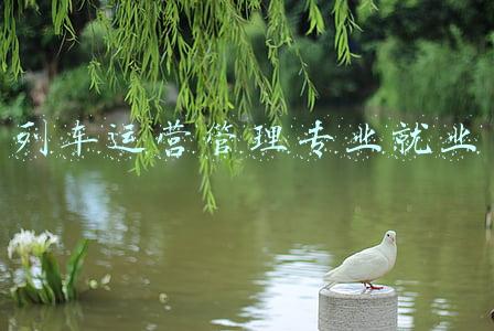 铁道交通运营管理专业就业方向及就业前景分析(高职单招详解，解读5所走高职单招的优质学校，就业质量超高)