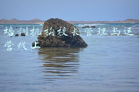 培训机构校长日常工作(给教培机构校长运营管理的三个建议)