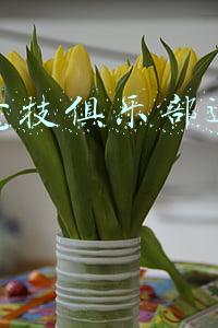 电子竞技俱乐部运营与管理(电竞赛事运营的工作职能是什么？其从业者又需要什么样的职业能力)