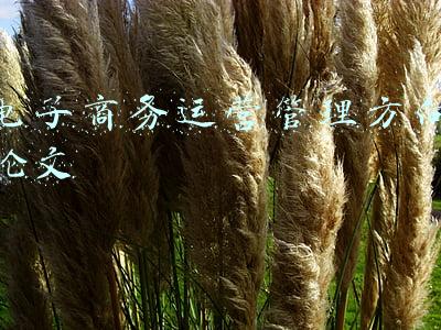 电子商务运营模式论文(电子商务与物流分析)
