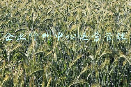 企业呼叫中心运营管理