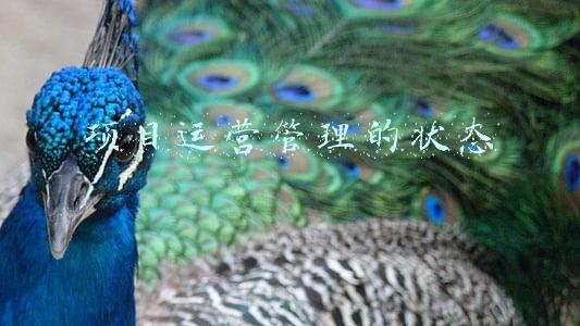 项目运营阶段(济宁市农村生活污水治理项目（第一阶段），进入调试运营阶段)