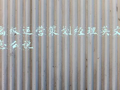 高级运营策划经理英文怎么说