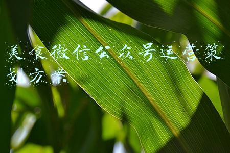 微信公众号美食文案(创意有趣的朋友圈发美食文案)