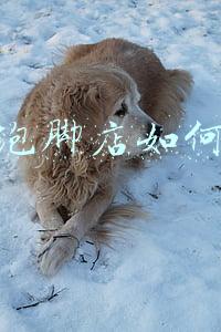 泡脚店怎么开?-泡脚店怎么开