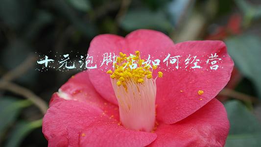 泡脚店一般有什么服务(足浴店泡脚)