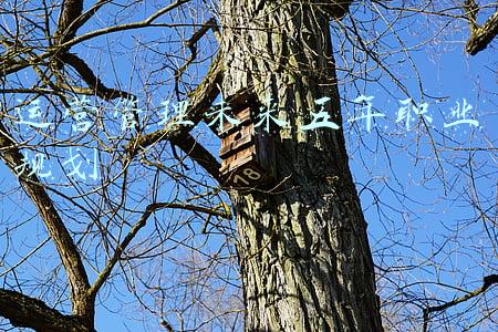 运营经历的职业规划(非常规作业：商业尽调员在投资业)