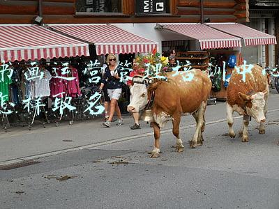 书画运营管理培训中心怎样取名