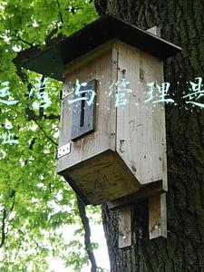 酒店运营与管理是什么毕业证