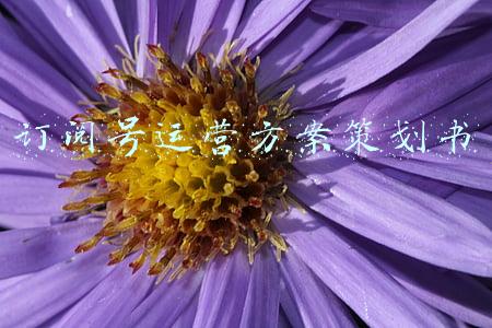 订阅号运营方案策划书