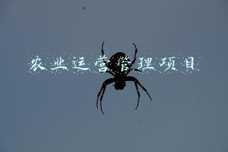 农业项目管理流程(农业机械事故处理办法（2022年修订）)
