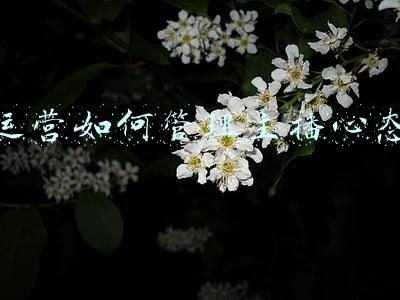 主播心态培训(主播管理情绪的5个技巧，不要让自己成为情绪的“傀儡”)