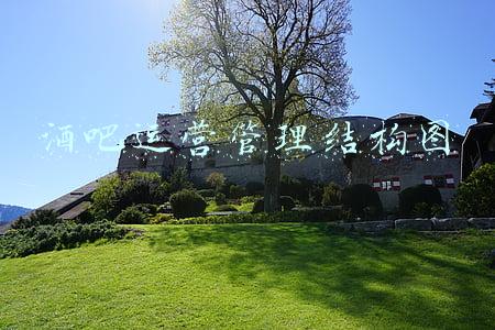 酒吧运营管理结构图