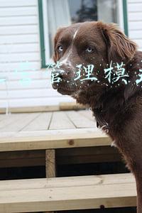 商业运营管理模式好的词语