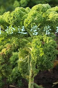 口腔医院运营管理(民营口腔如何做好管理与运营，这三点告诉你原因，建议收藏)
