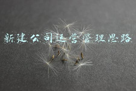怎么建立公司的运营体系(如何建立店铺体系)